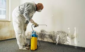 Best Environmental Consulting for Mold Prevention  in Roanoke, AL